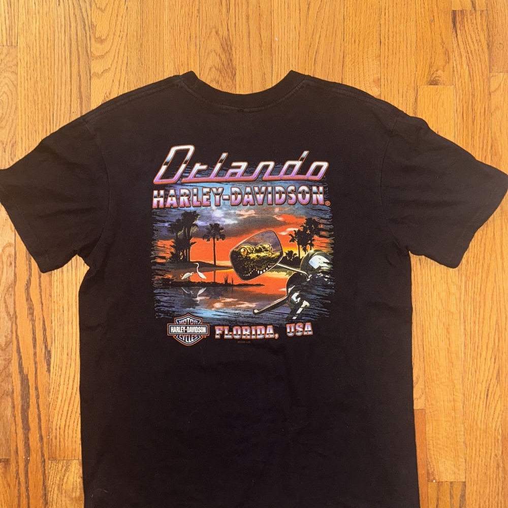 Harley-Davidson size large vintage 2008 t shirt